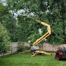 Best Grass Overseeding  in Leith Hatfield, PA